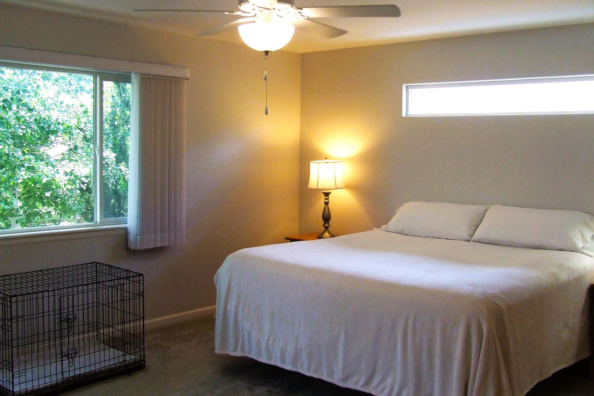 196 Secret Canyon Ct photo 9