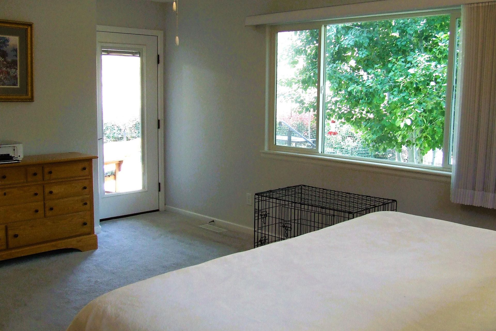196 Secret Canyon Ct photo 11