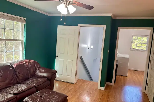 288 County Road 158 photo 5