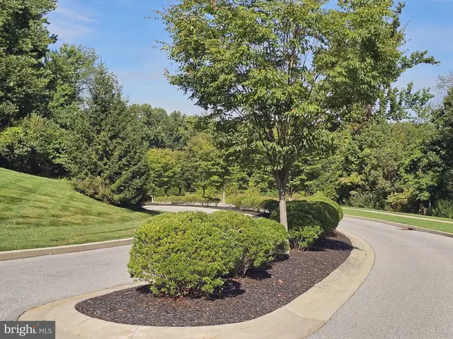 1254 Goldenrod Dr photo 8