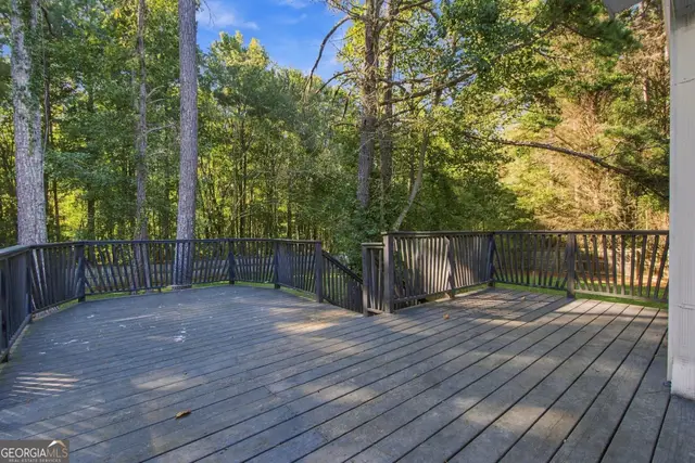 3132 Cling Stone Pl photo 18